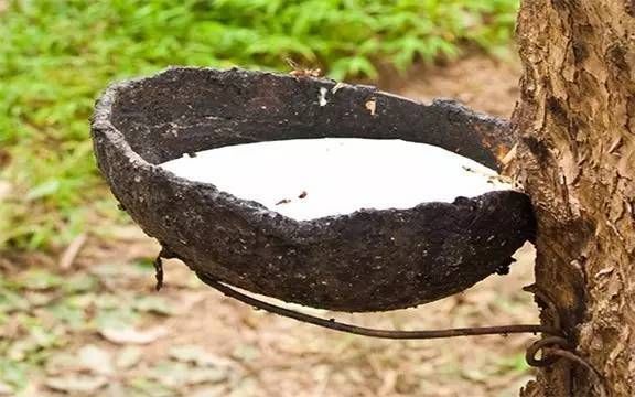 天然乳膠泡沫多是什么原因，有什么危害？