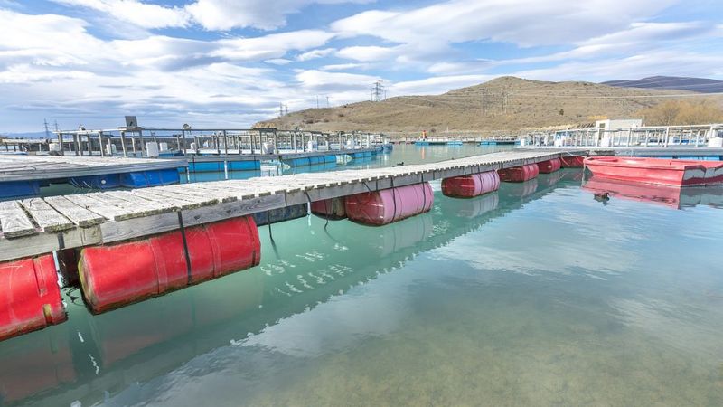 污水起泡沫，用什么方法去除泡沫？