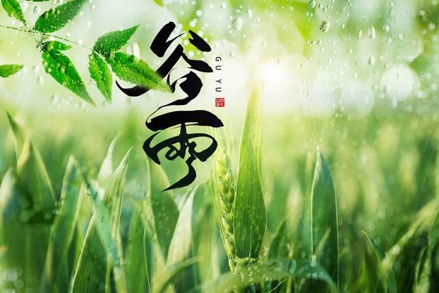 正當谷雨弄晴時
