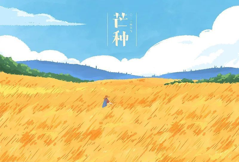芒種看今日，蟬鳴夏始忙